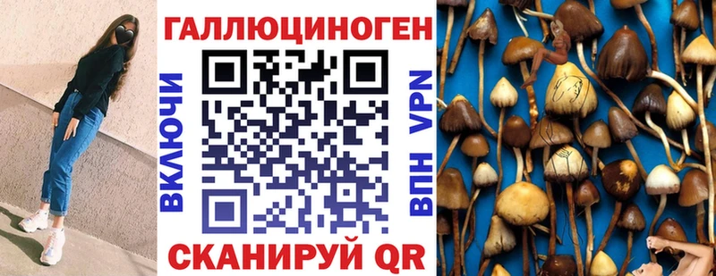 Галлюциногенные грибы GOLDEN TEACHER  Купить  Лобня 